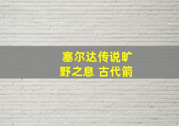 塞尔达传说旷野之息 古代箭